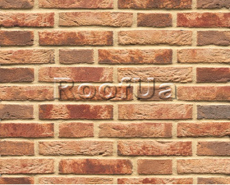 Цегла ручного формування nr. 36 rheinisch-bunt 